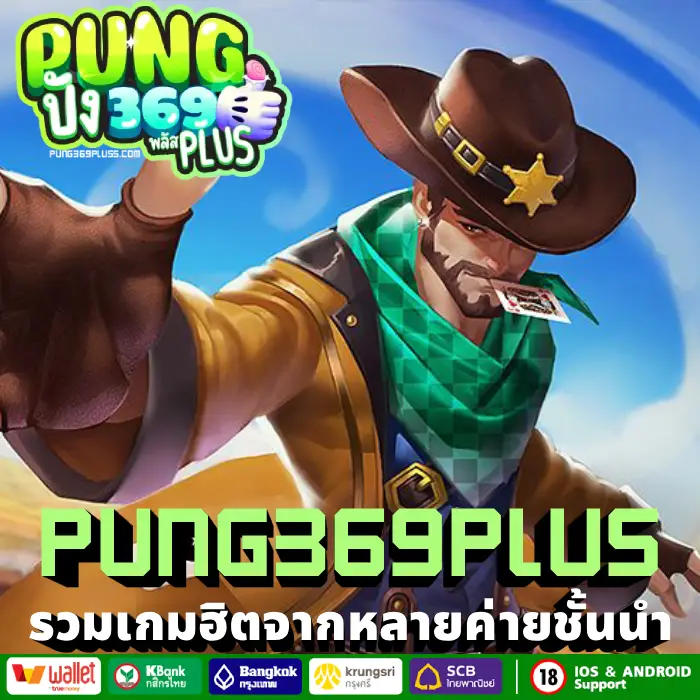 pung369plus (3)